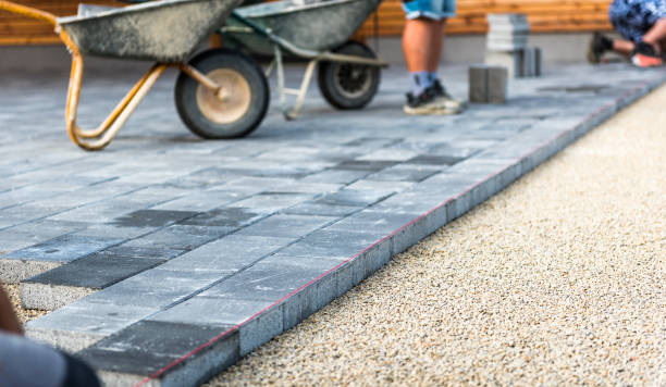 Best Professional Driveway Pavers  in Beach, ND